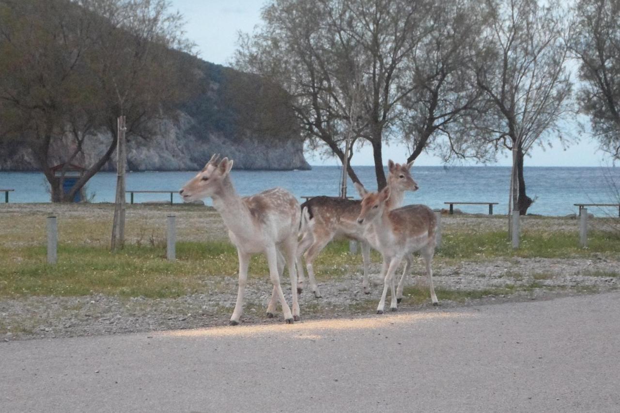 Lithoktisto * Limnionas (Central Greece)